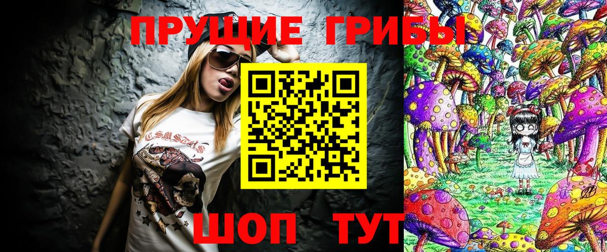 Нижнеудинск  Псилоцибиновые грибы прущие грибы  Вход с VPN  Псилоцибиновые грибы GOLDEN TEACHER 